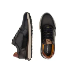 Ambitious 136756553-Trainer.
