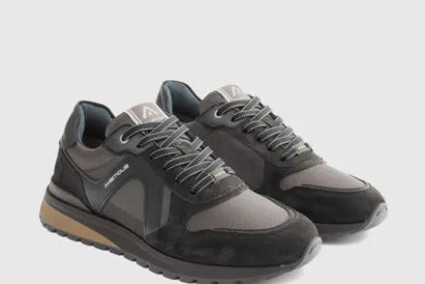 Ambitious 1414611184- Trainer.
