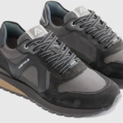 Ambitious 1414611184- Trainer.