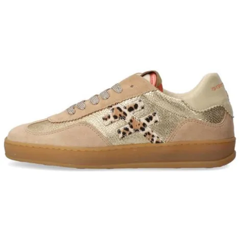 Another Trend Multi Gold Trainer|A032C143
