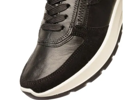 Ara 122511201- Trainer.
