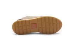 Ara 122483617-Trainer.