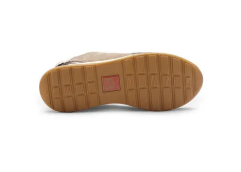 Ara 122483617-Trainer.