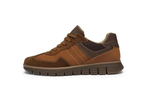 Ara 112340109-Trainer.