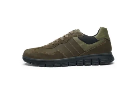 Ara 112340105-Trainer.