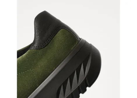 Ara 124670707- Trainer.
