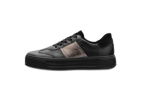 Ara 122301218-Trainer.