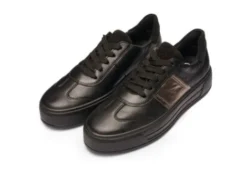 Ara 122301218-Trainer.