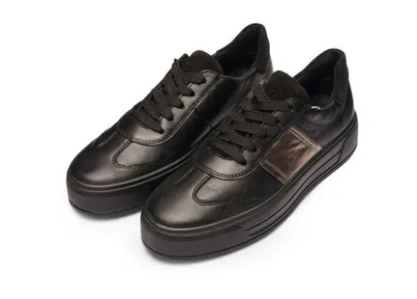 Ara 122301218-Trainer.