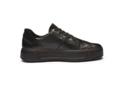 Ara 122301218-Trainer.