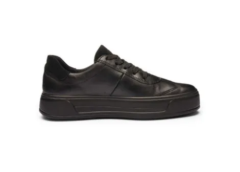 Ara 122301218-Trainer.