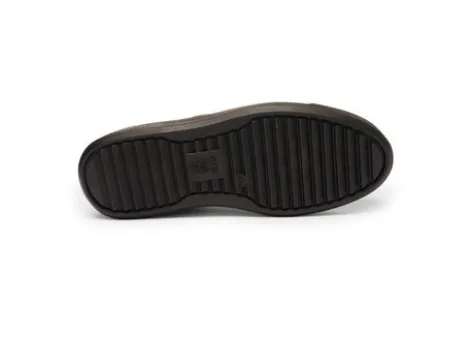 Ara 122301218-Trainer.