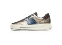 Ara 122301205-Trainer.