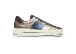 Ara 122301205-Trainer.
