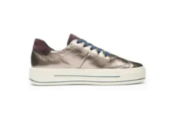 Ara 122301205-Trainer.