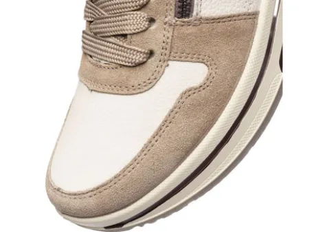 Ara 122754095- Trainer.