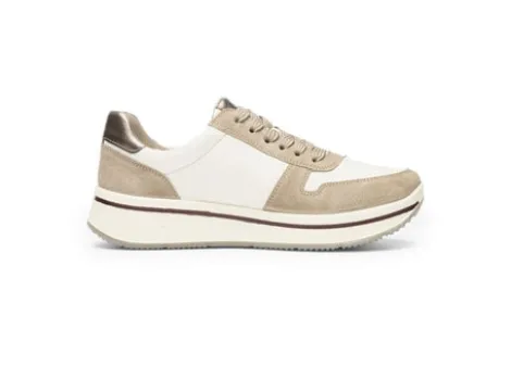 Ara 122754095- Trainer.