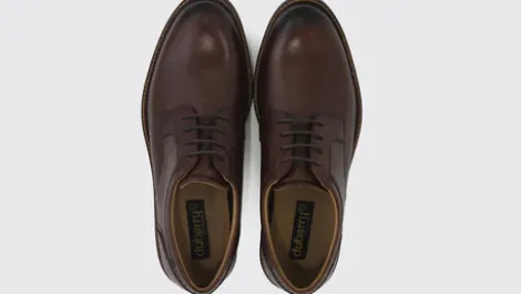 Dubarry 5856BRN Sly- Laced Shoe.