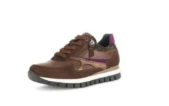Gabor 5643754- H Fit Trainer.