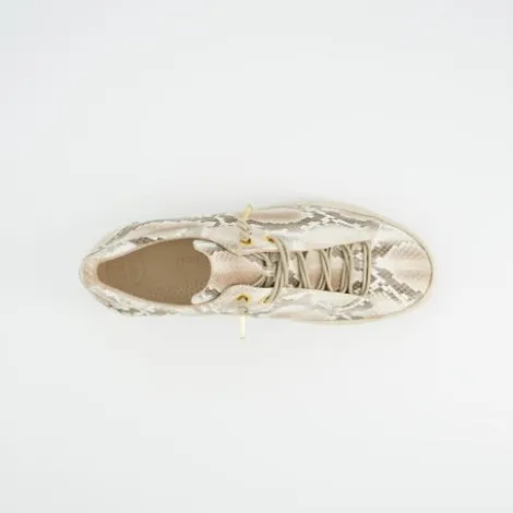 Paul Green Platform Snake Print Trainer|5317079