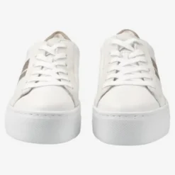 Paul Green 5430067-Trainer.