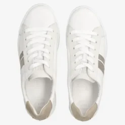 Paul Green 5430067-Trainer.