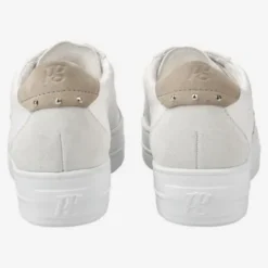 Paul Green 5430067-Trainer.
