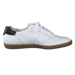 Paul Green 5350086- Trainer.