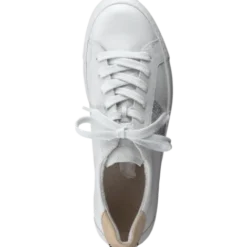 Paul Green 5330015- Trainer.