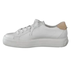 Paul Green 5330015- Trainer.