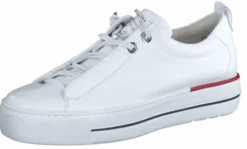 Paul Green 5017213-Trainer.