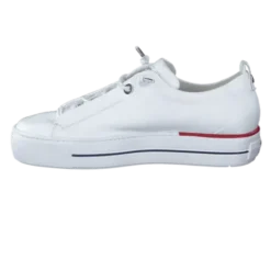 Paul Green 5017213-Trainer.