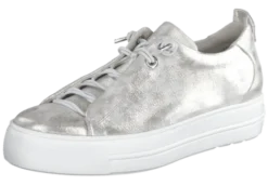 Paul Green 5017123- Trainer.