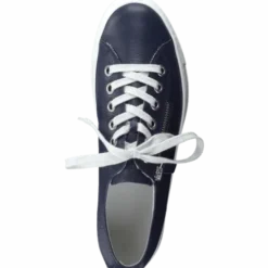 Paul Green 4760033- Trainer.