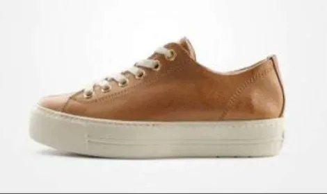 Paul Green 4790637- Trainer.