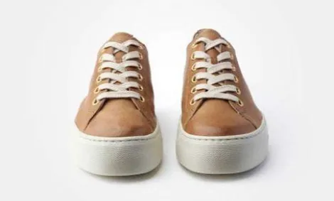 Paul Green 4790637- Trainer.