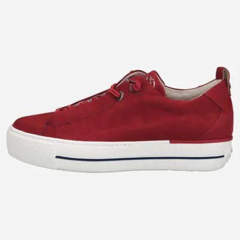 Paul Green 5017326- Trainer.