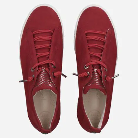 Paul Green 5017326- Trainer.