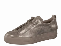 Paul Green 5417066- Trainer.