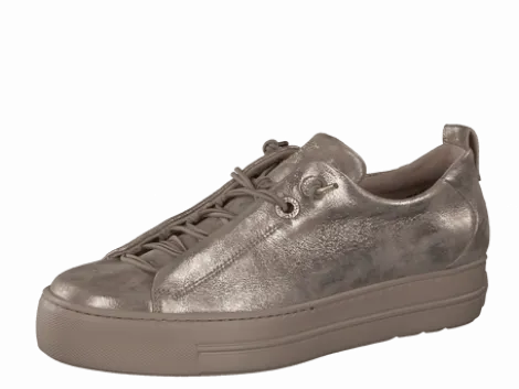 Paul Green 5417066- Trainer.