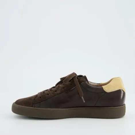 Paul Green 5464188-Trainer.