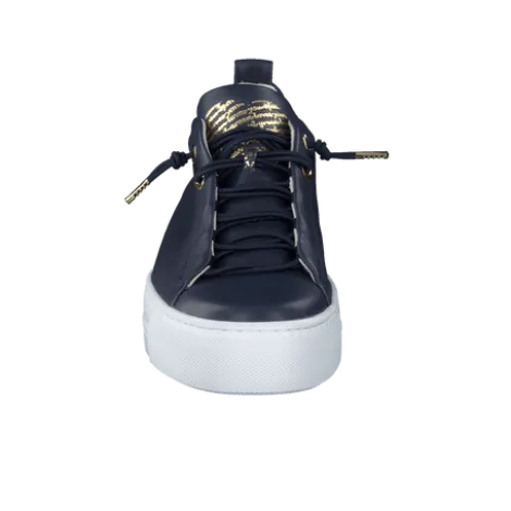 Paul Green 5017013- Trainer.