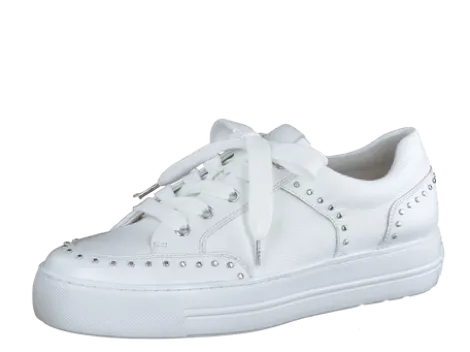 Paul Green 5381036-Trainer.