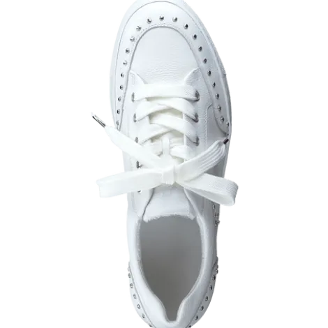 Paul Green 5381036-Trainer.