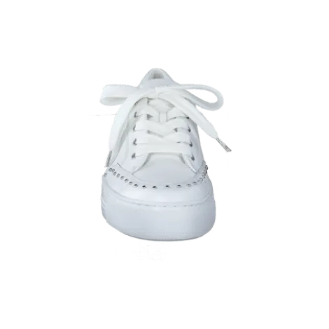 Paul Green 5381036-Trainer.