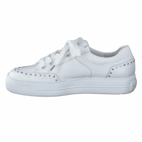 Paul Green 5381036-Trainer.
