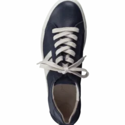 Paul Green 5330086- Trainer.