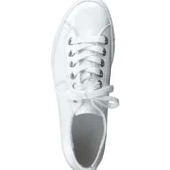 Paul Green 4790155- Trainer.