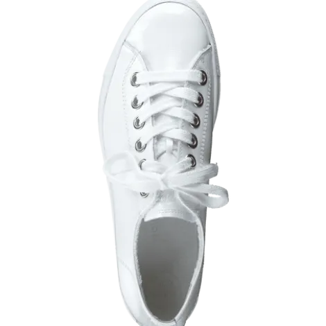 Paul Green 4790155- Trainer.