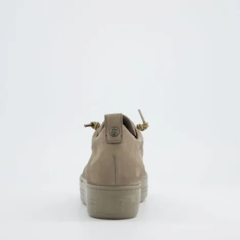 Paul Green 5017418-Trainer.
